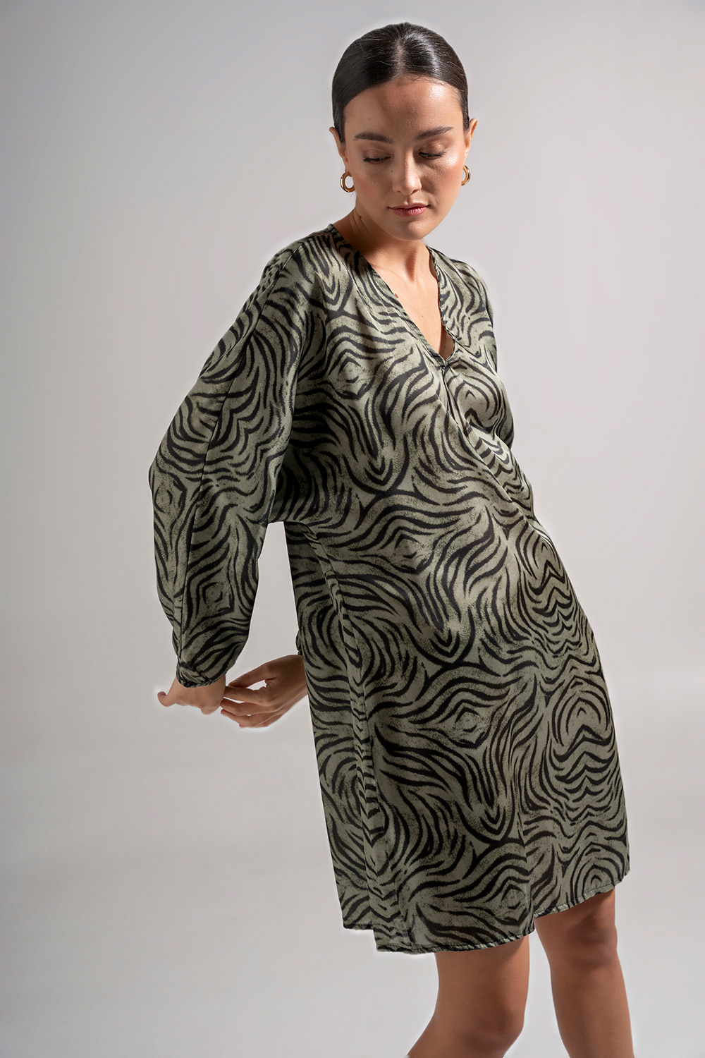 Φόρεμα Zebra Print - Image 3