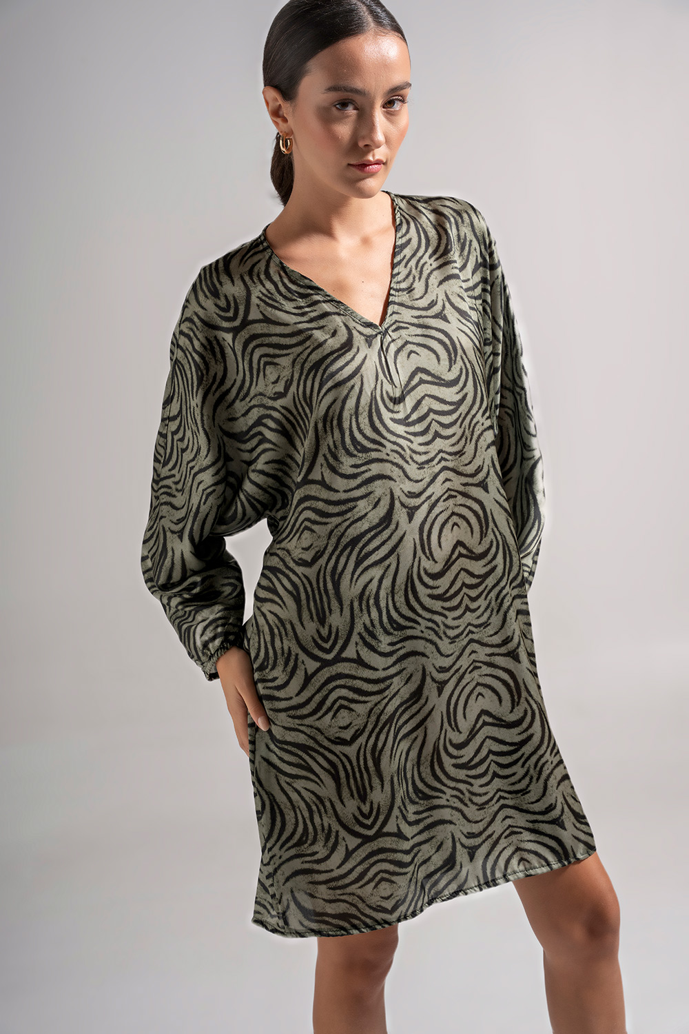 Φόρεμα Zebra Print - Image 4