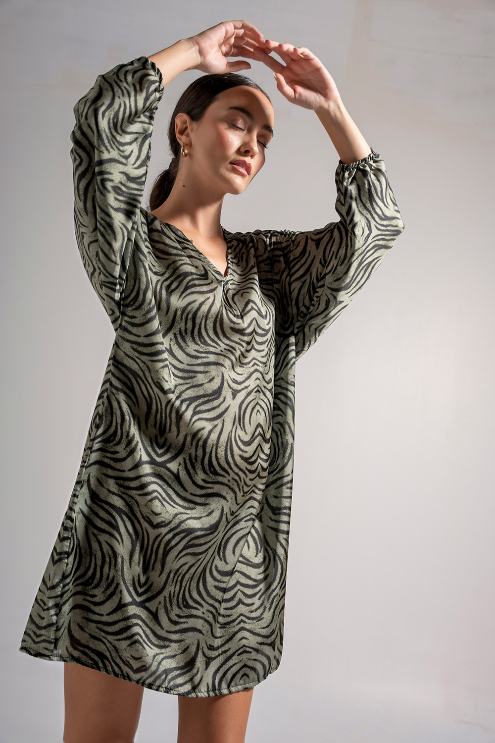 Φόρεμα Zebra Print - Image 2